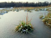 В Башкирию из-за арктического фронта на майские праздники нагрянет аномальное похолодание